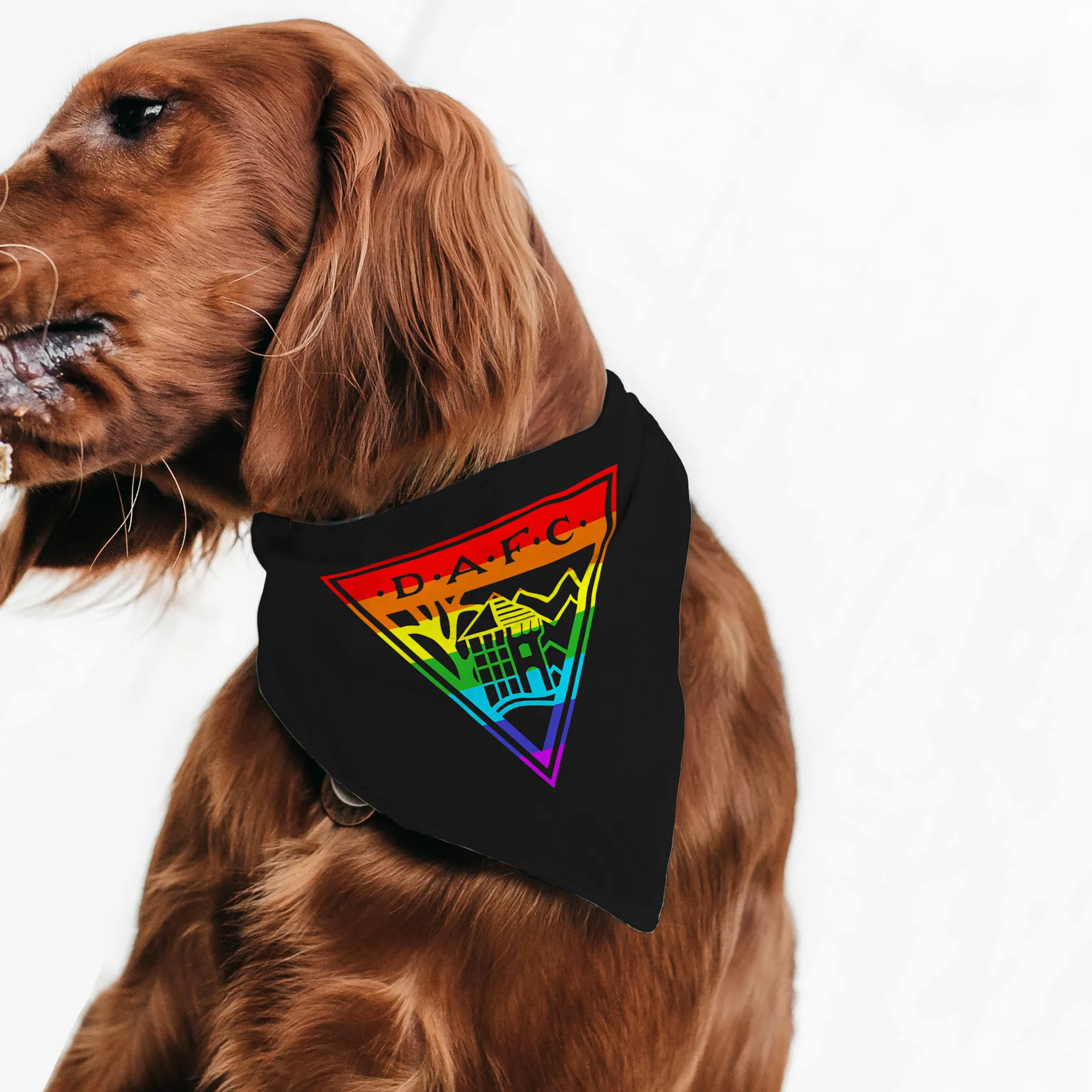 Dunfermline Athletic Rainbow Pet Bandana