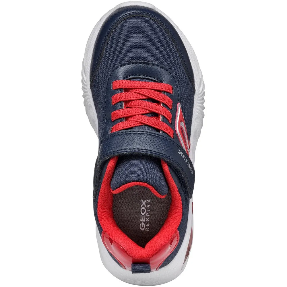 Geox J Assister B. C Junior Sneakers