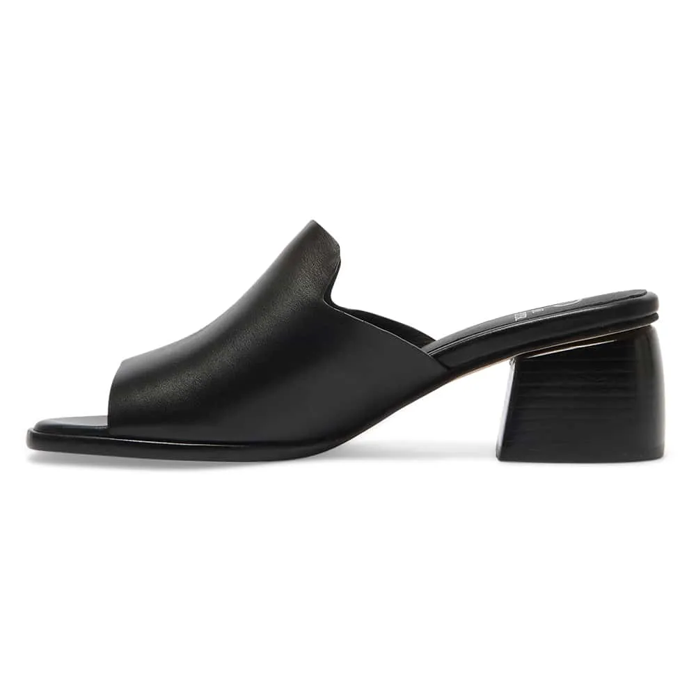 Haze Heel in Black Leather