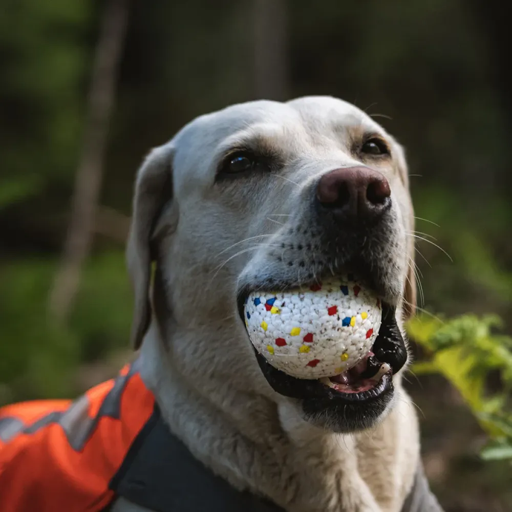 Talking Dog Club Bloom Ball Indestructible Heavy Chew Toy for Dogs (White)