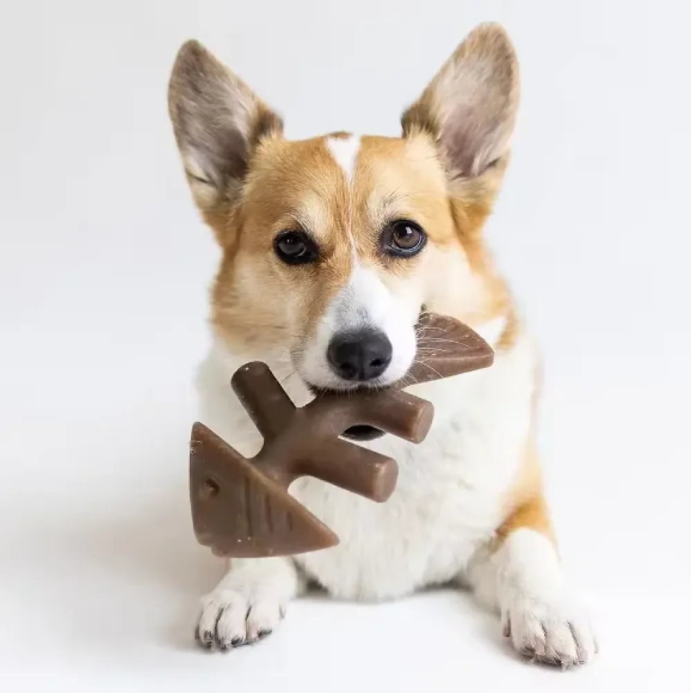 Talking Dog Club Fish Nylon Bone Heavy Chew Toy for Dogs (Brown)