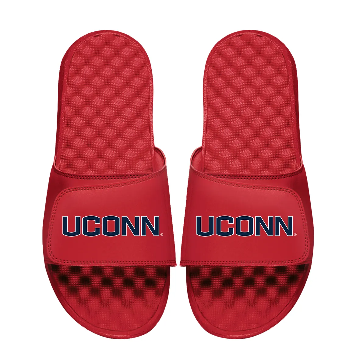 UConn Huskies Wordmark