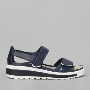 ZIERA - GEDD W ZR - NAVY/WHITE